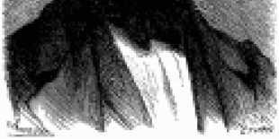 t2-_d260_-_fig._148._-_isambard_kingdom_brunel.png